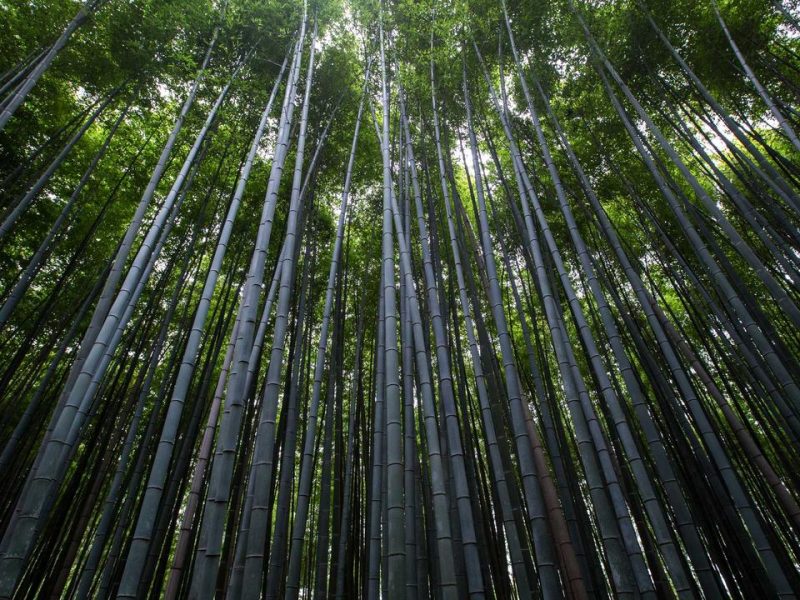 不動産所得の損益通算 — 給与所得を圧縮する正しい設計