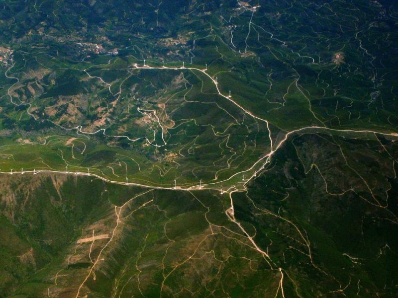グロース投資2026最新戦略 ─ 専門家が解説する2026年最新戦略