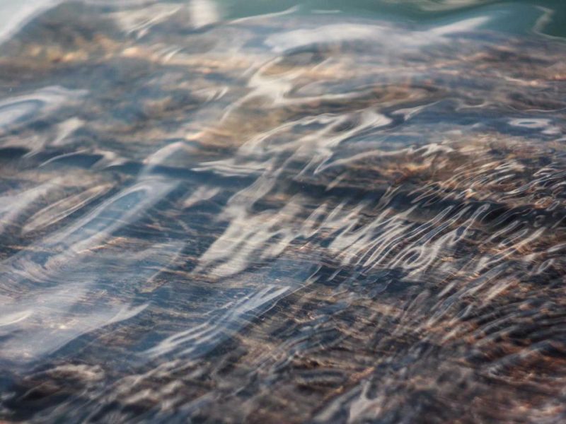 海外農地投資の現実 ─ 専門家が解説する2026年最新戦略